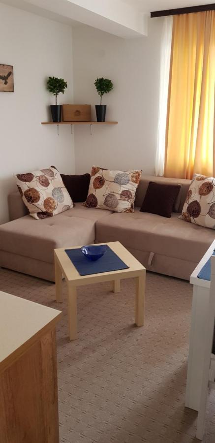 Dobricin Konak, Apartman 202 Kopaonik Zewnętrze zdjęcie