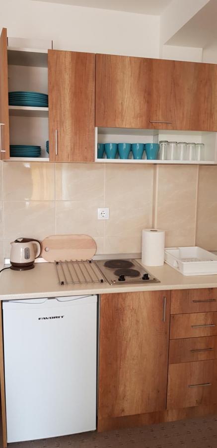 Dobricin Konak, Apartman 202 Kopaonik Zewnętrze zdjęcie