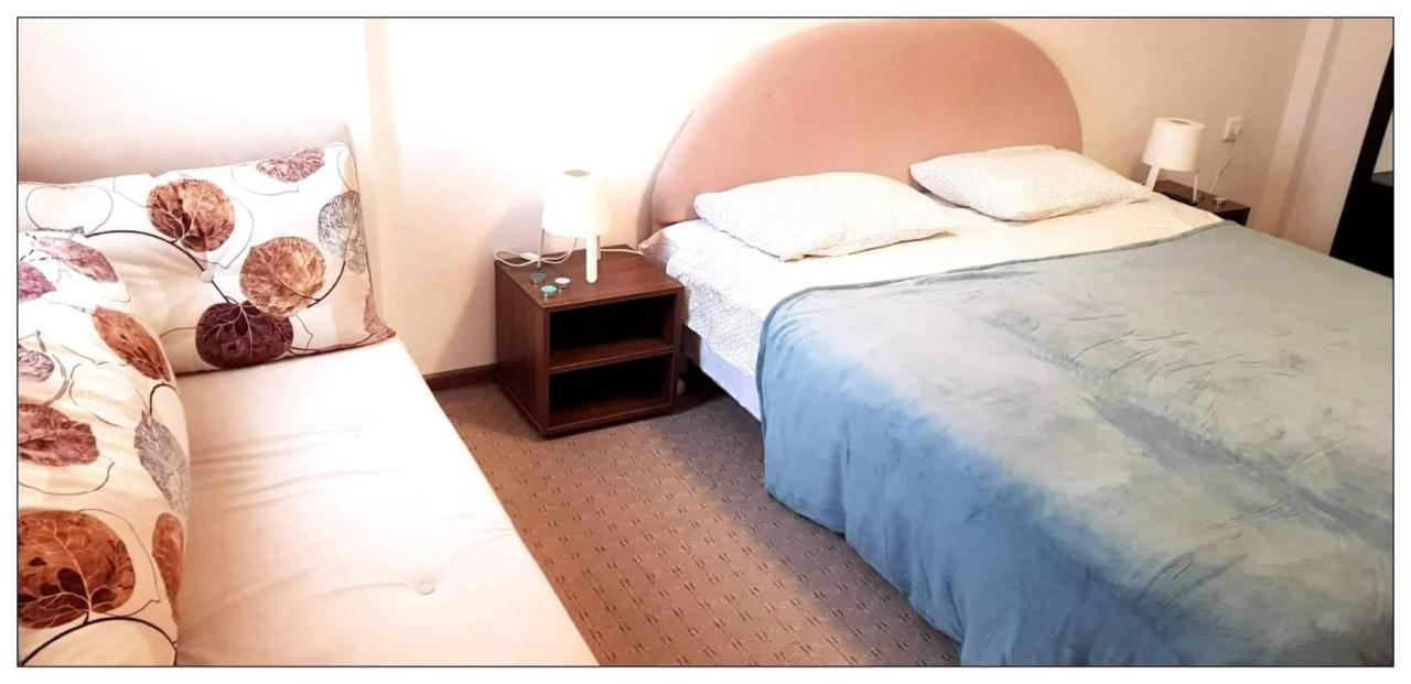 Dobricin Konak, Apartman 202 Kopaonik Zewnętrze zdjęcie
