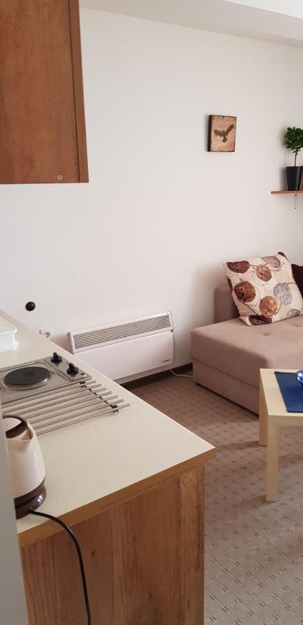 Dobricin Konak, Apartman 202 Kopaonik Zewnętrze zdjęcie